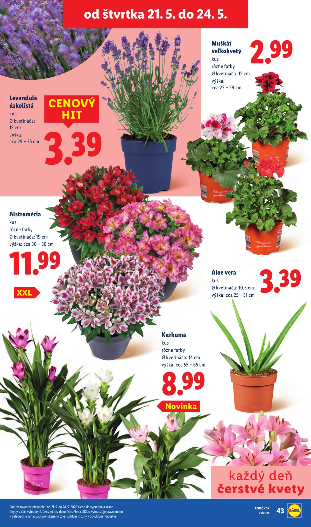 LIDL leaflet 078