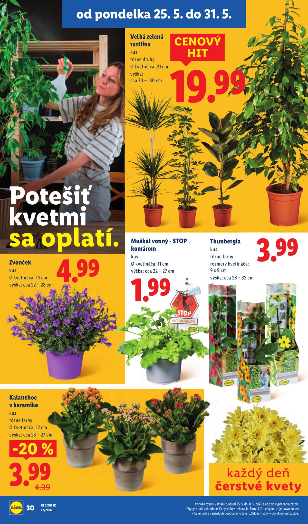 LIDL leaflet 048