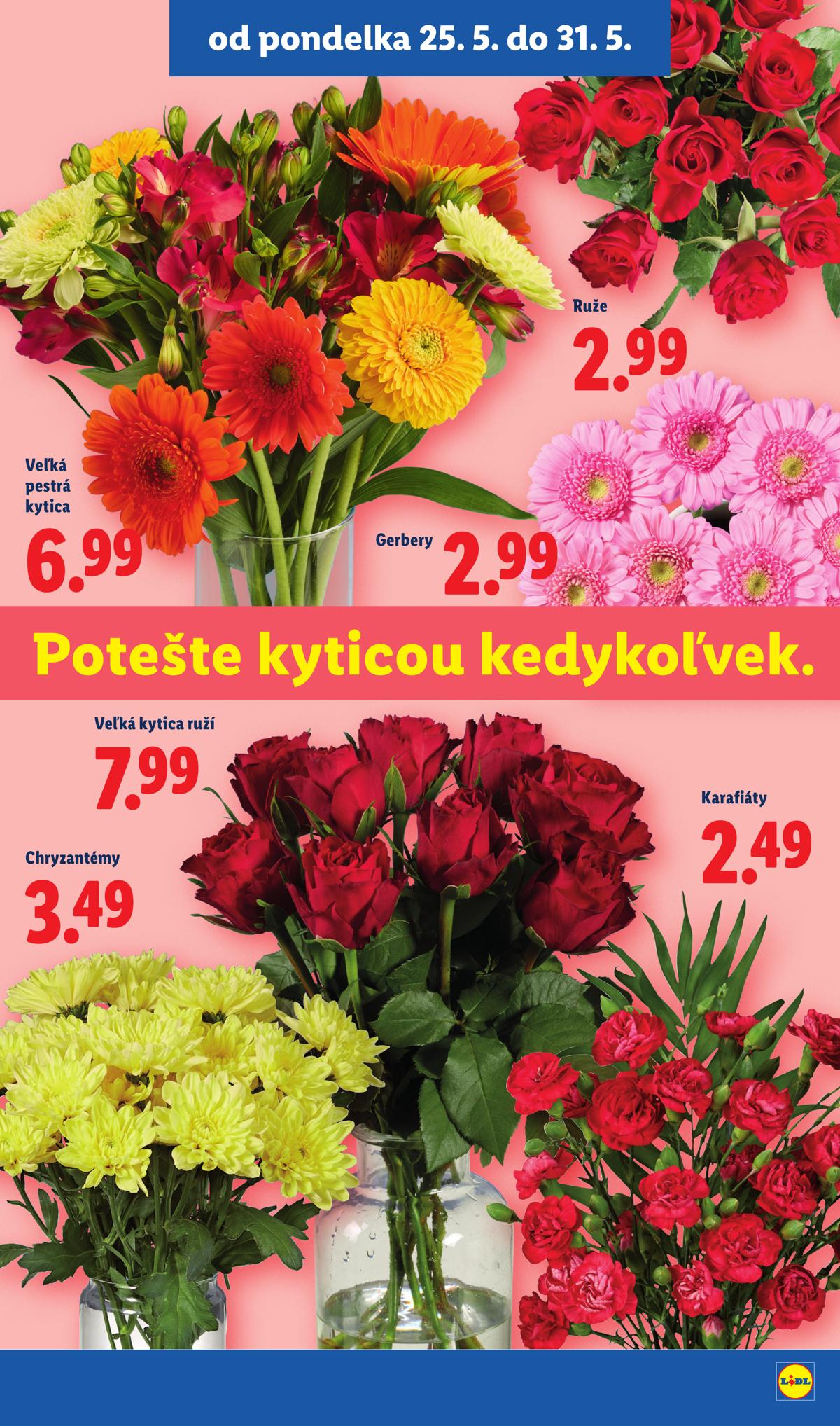 LIDL leaflet 049