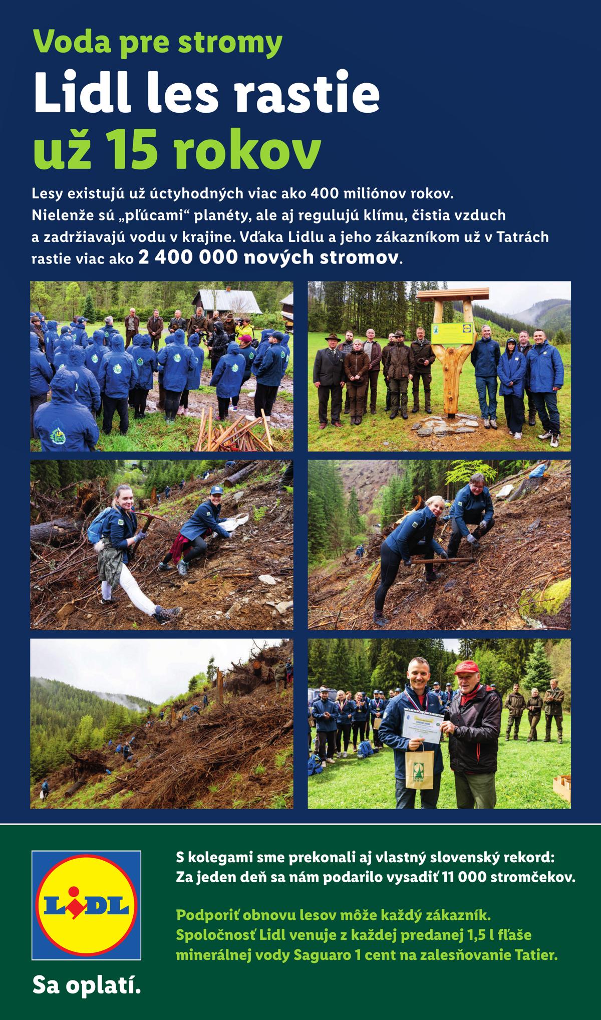 LIDL leaflet 085