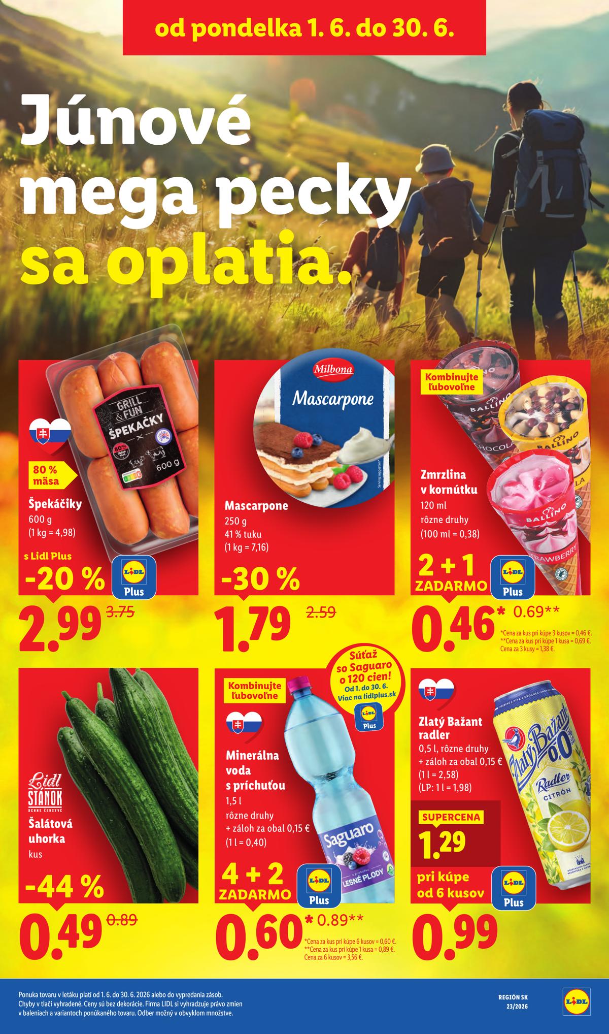 LIDL leaflet 039