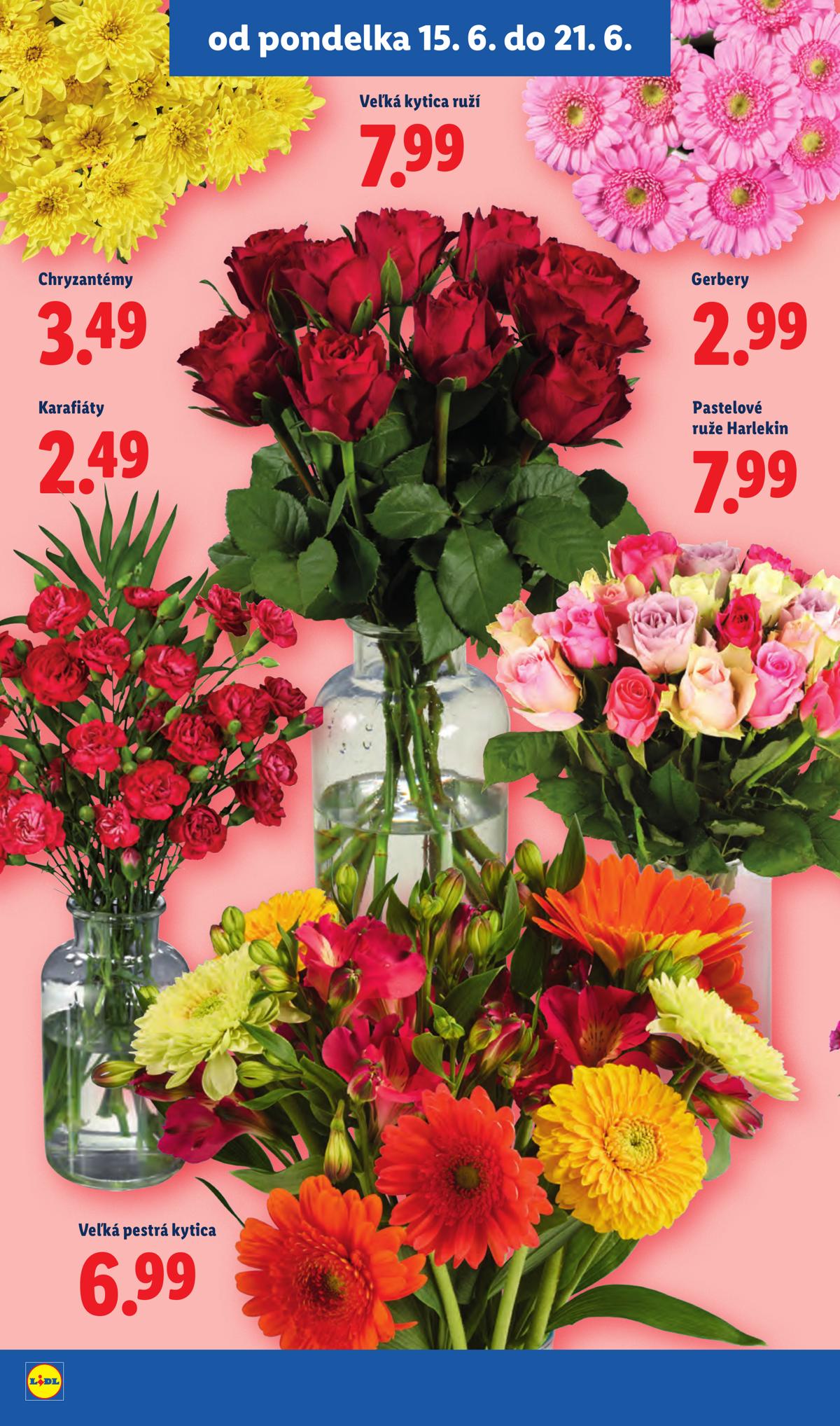 LIDL leaflet 044