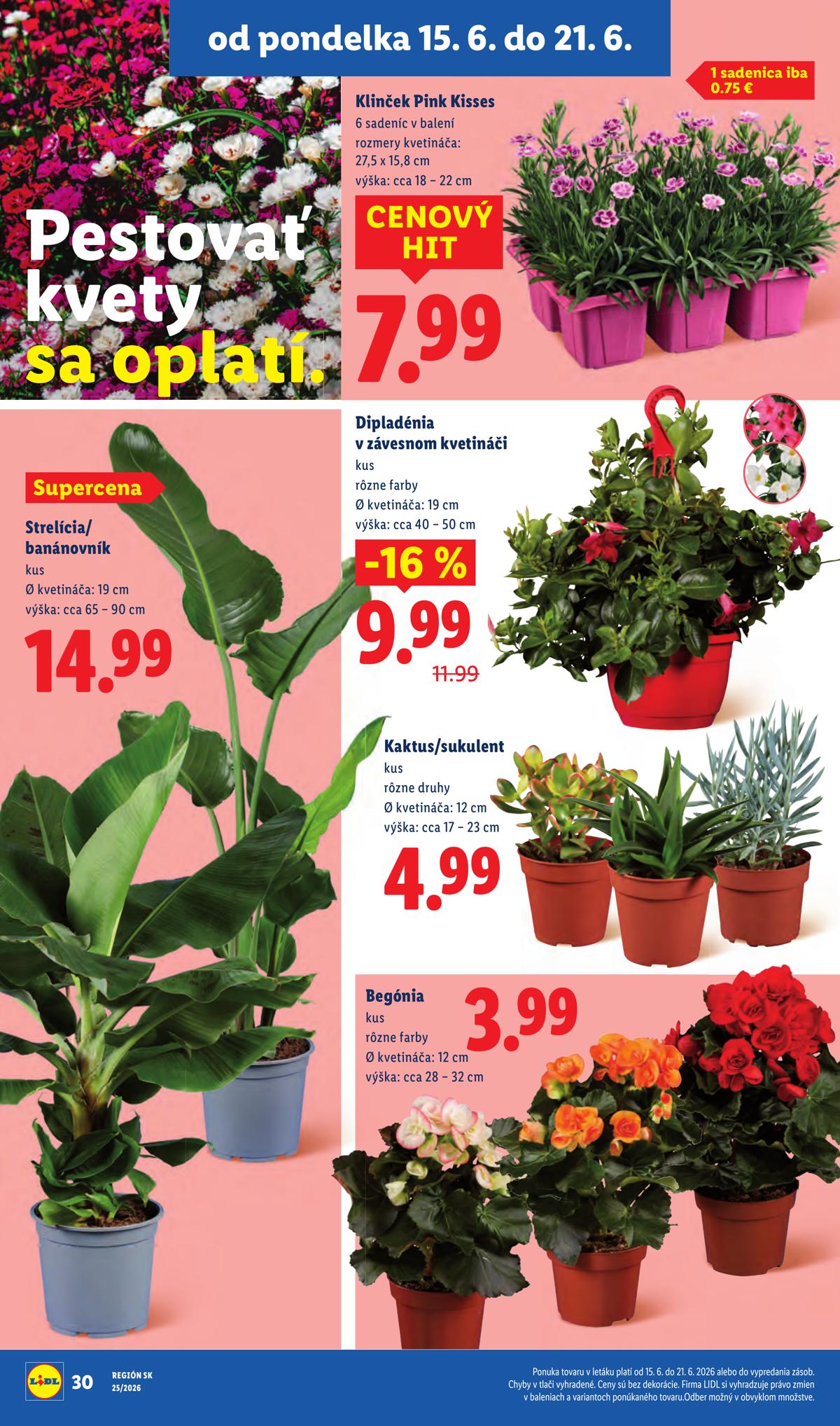 LIDL leaflet 045