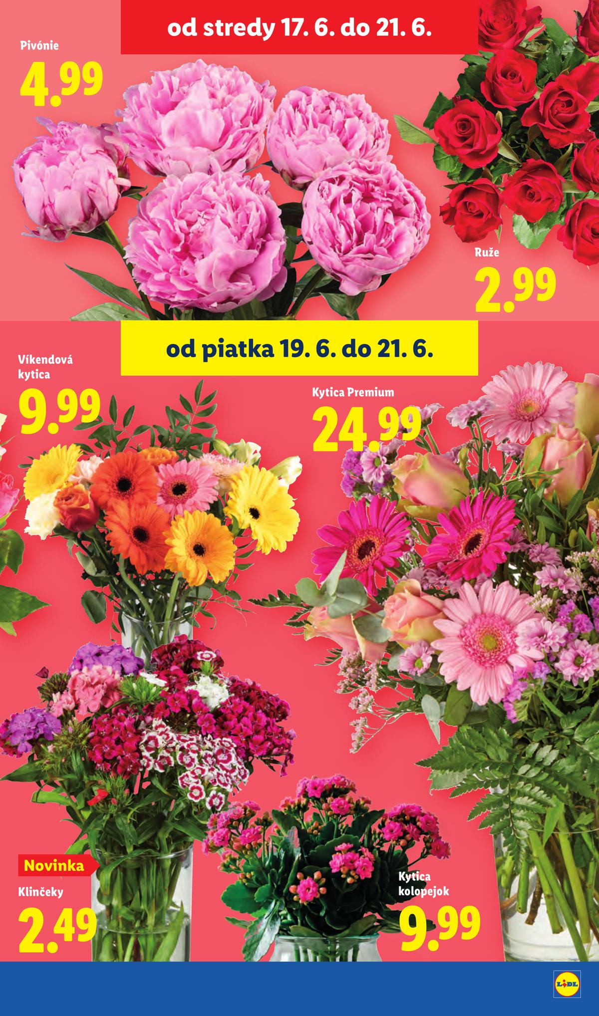 LIDL leaflet 078
