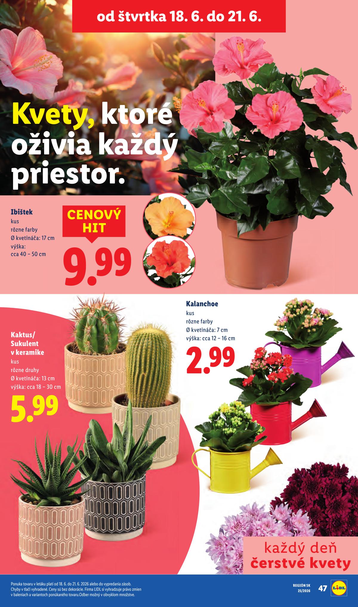 LIDL leaflet 079