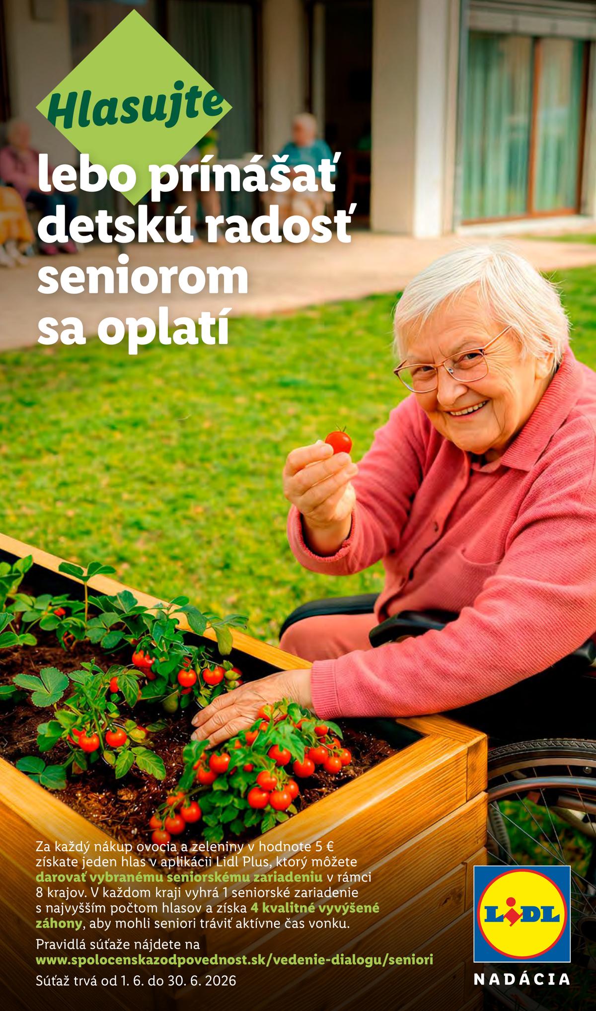 LIDL leaflet 100