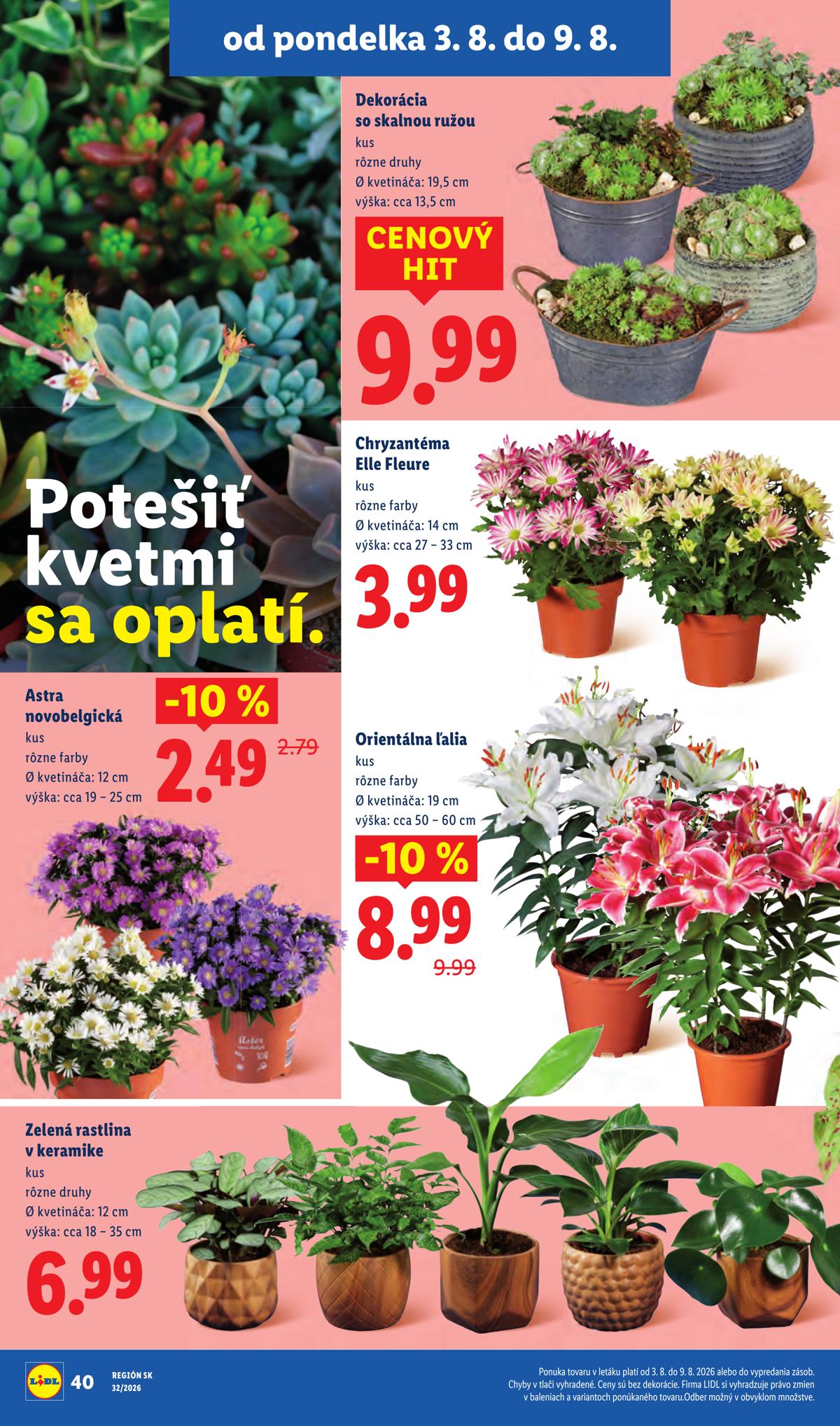 LIDL leaflet 062