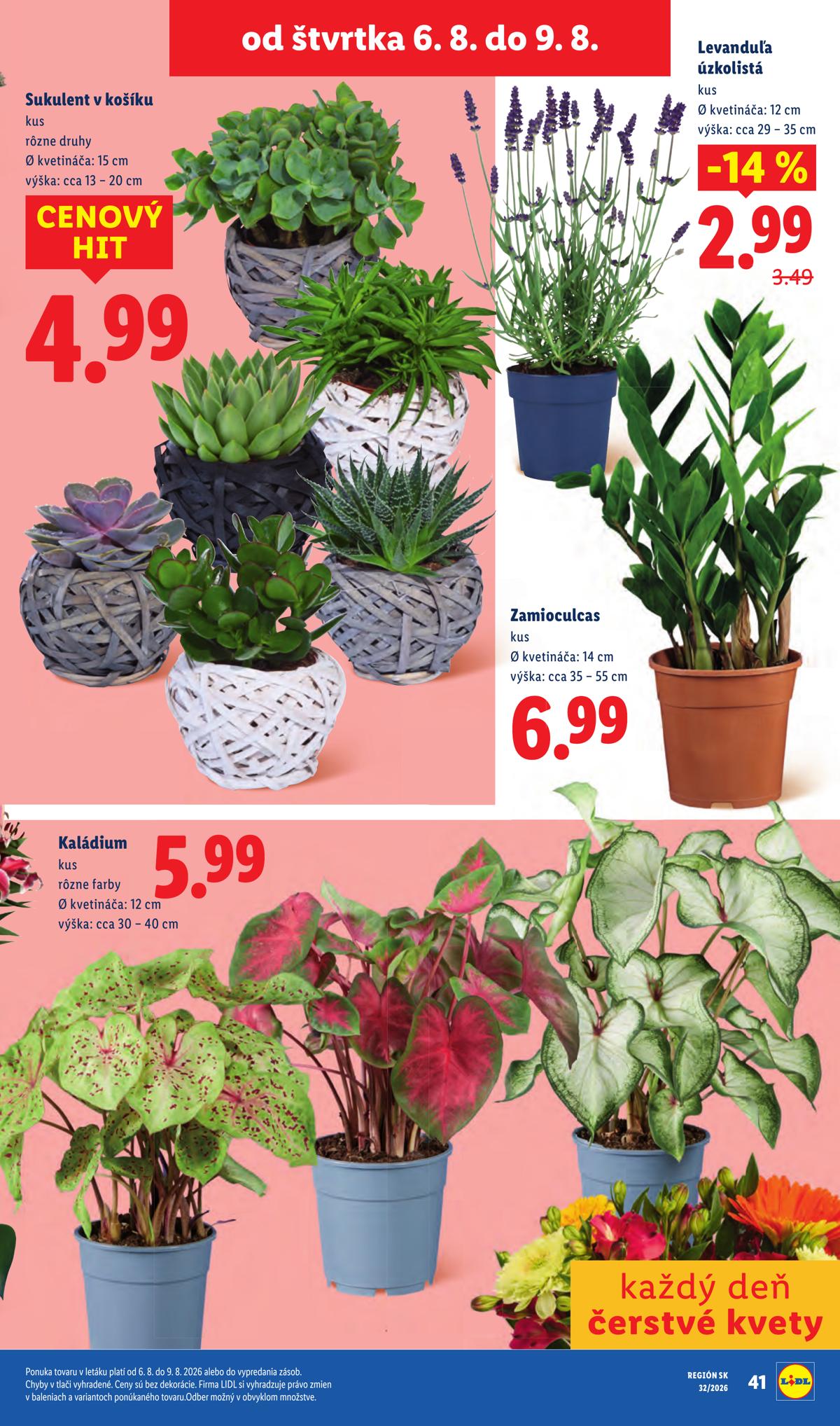 LIDL leaflet 093