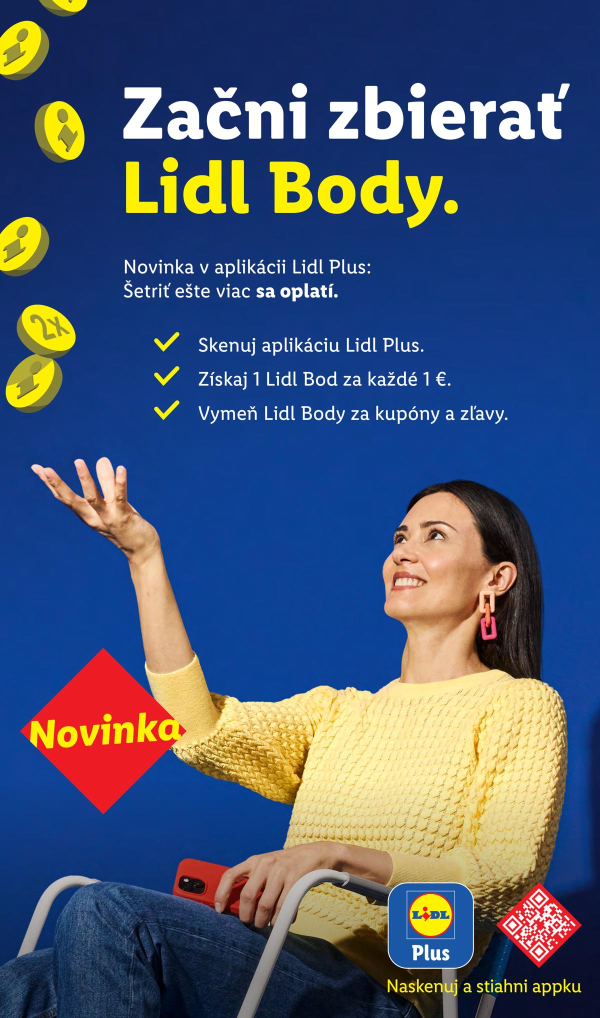 LIDL leaflet 013