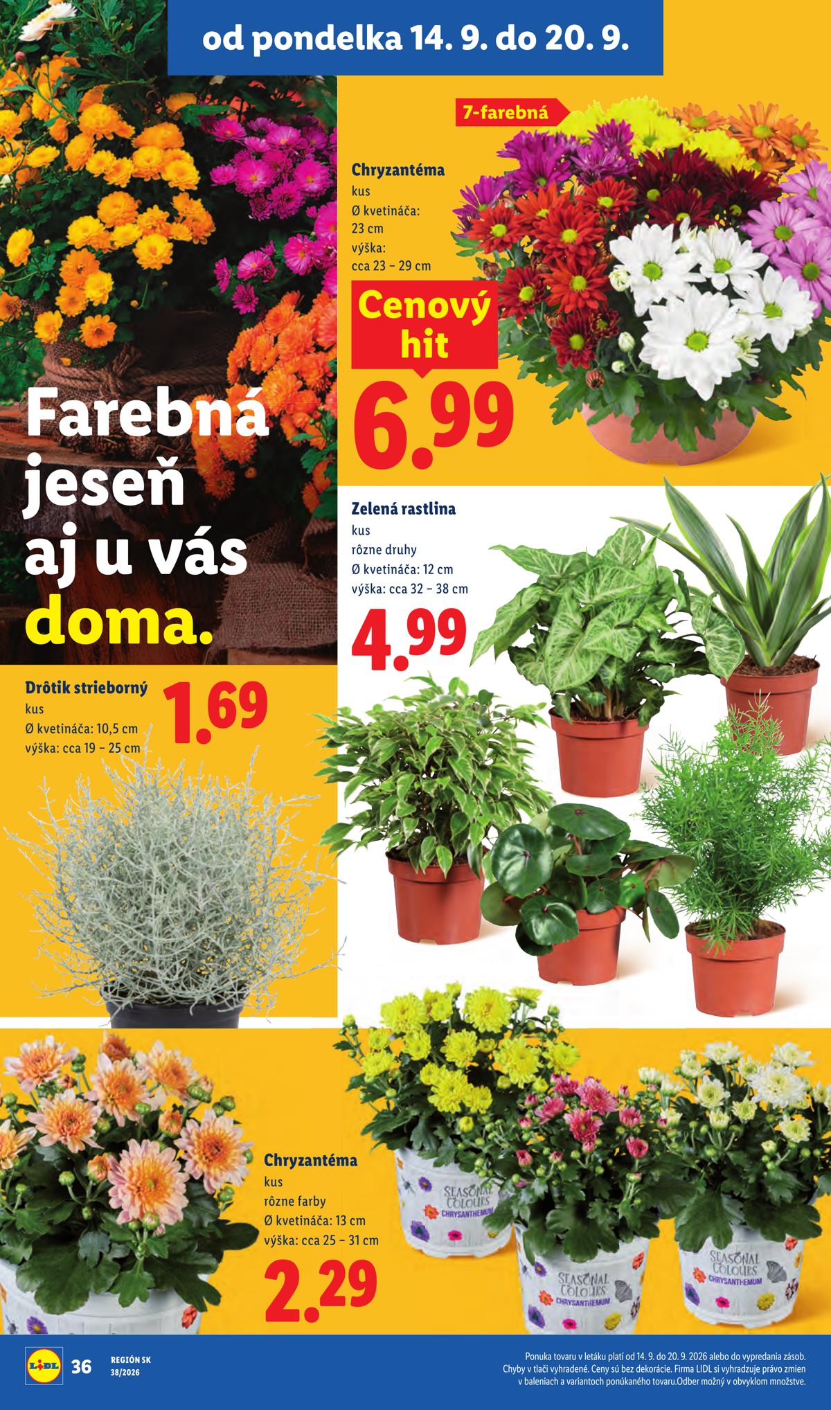 LIDL leaflet 050