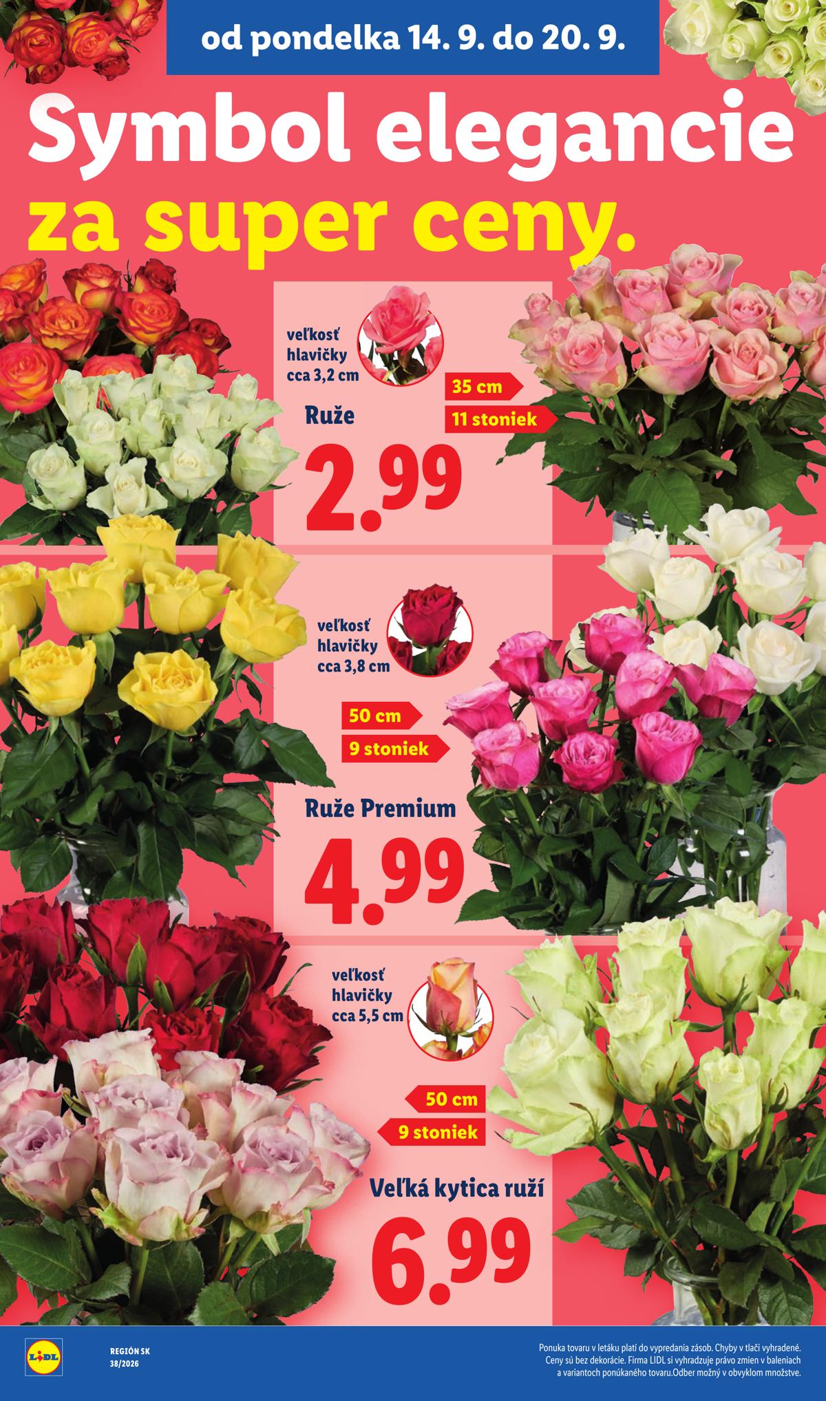 LIDL leaflet 051