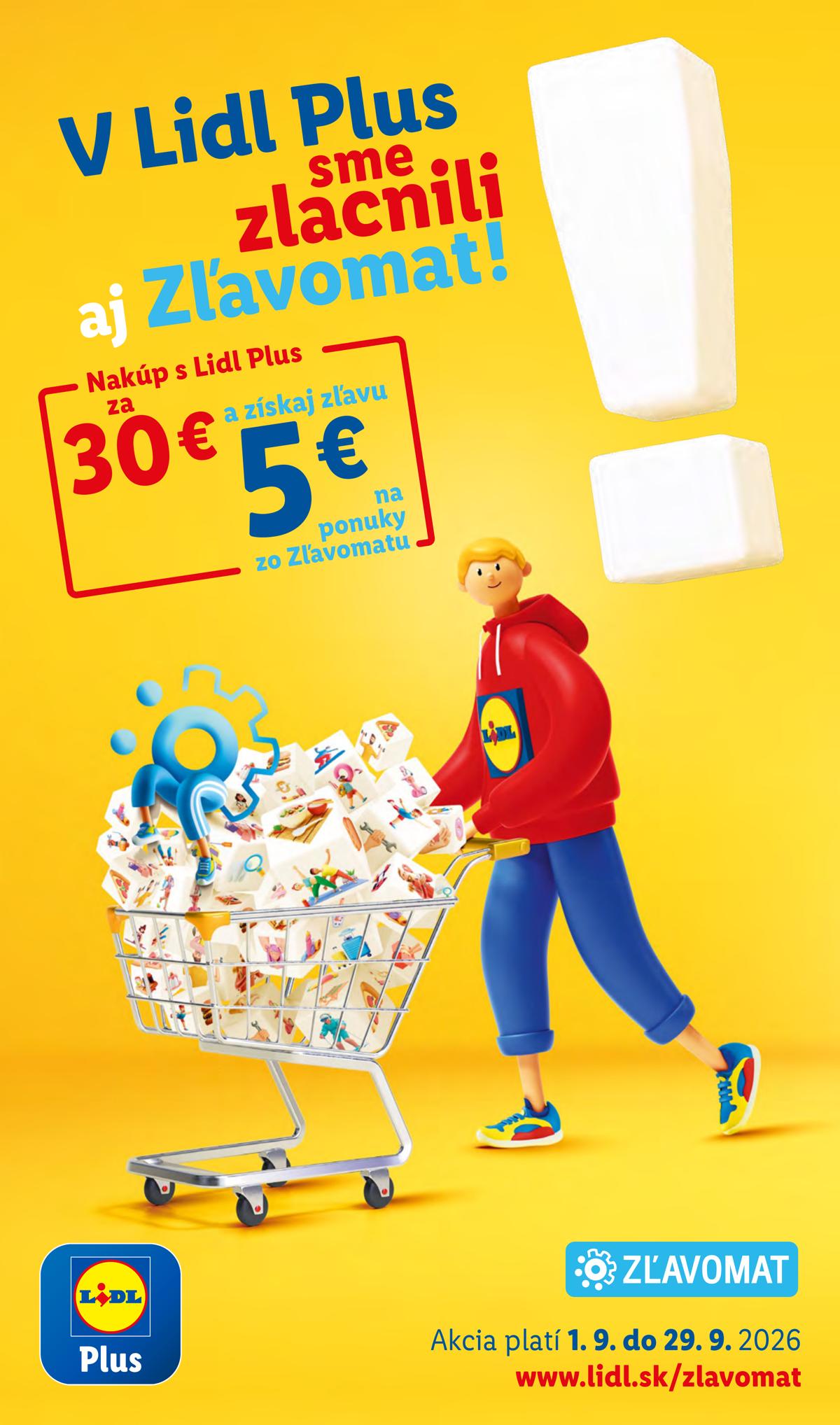 LIDL leaflet 073