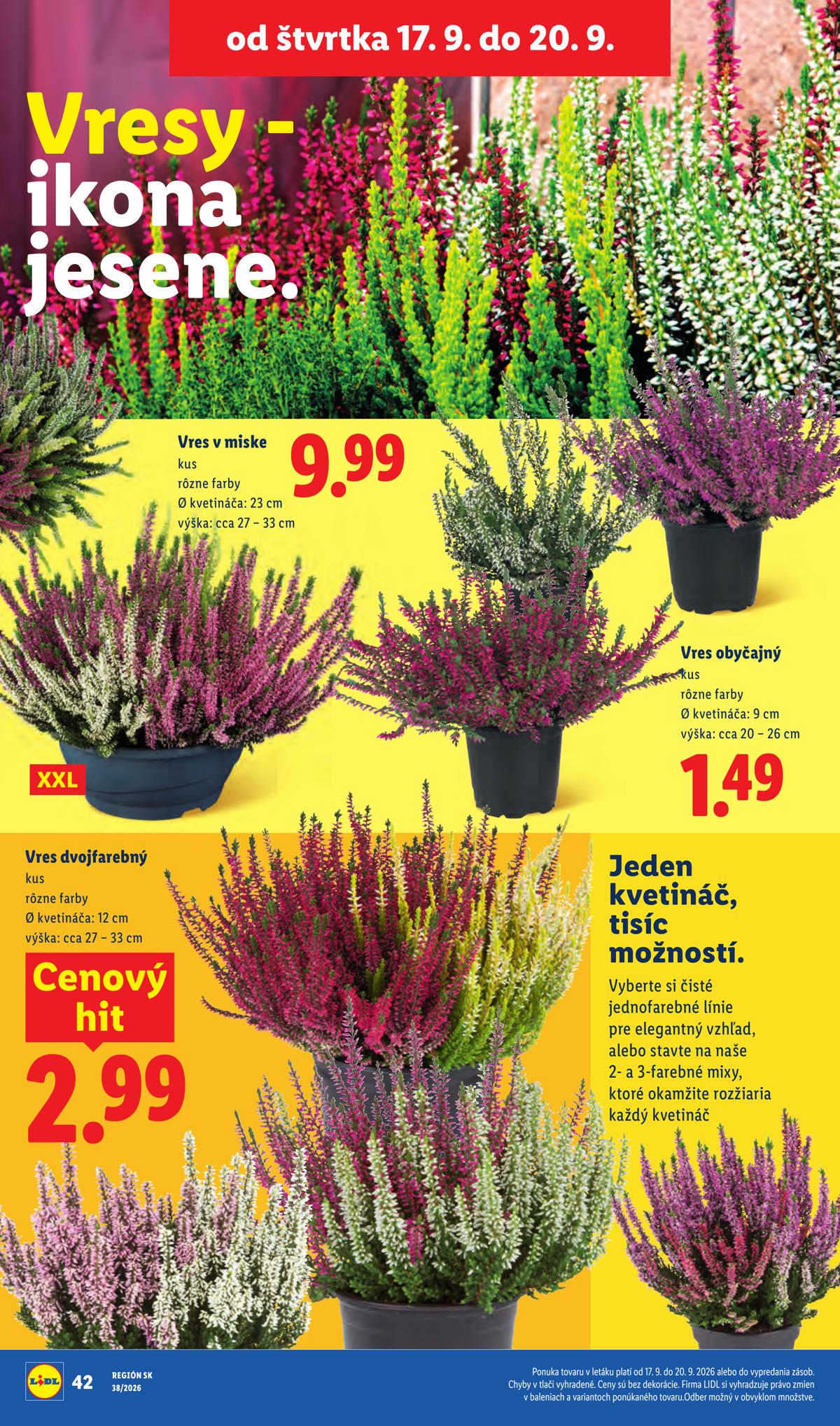 LIDL leaflet 078
