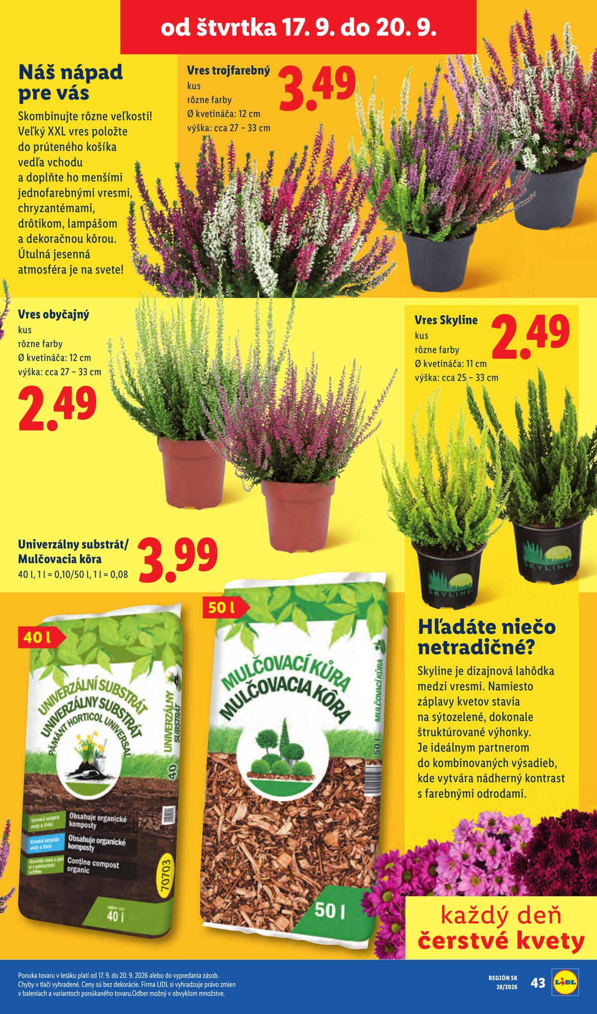 LIDL leaflet 079