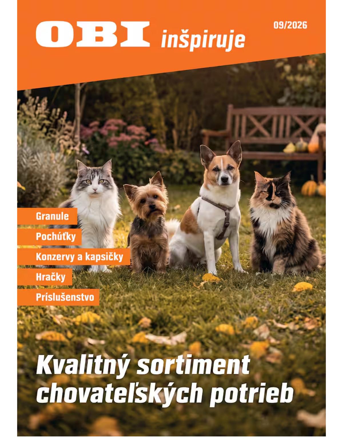 OBI leaflet 001
