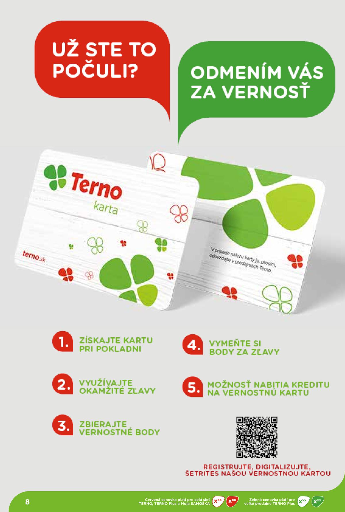 Terno leaflet 008