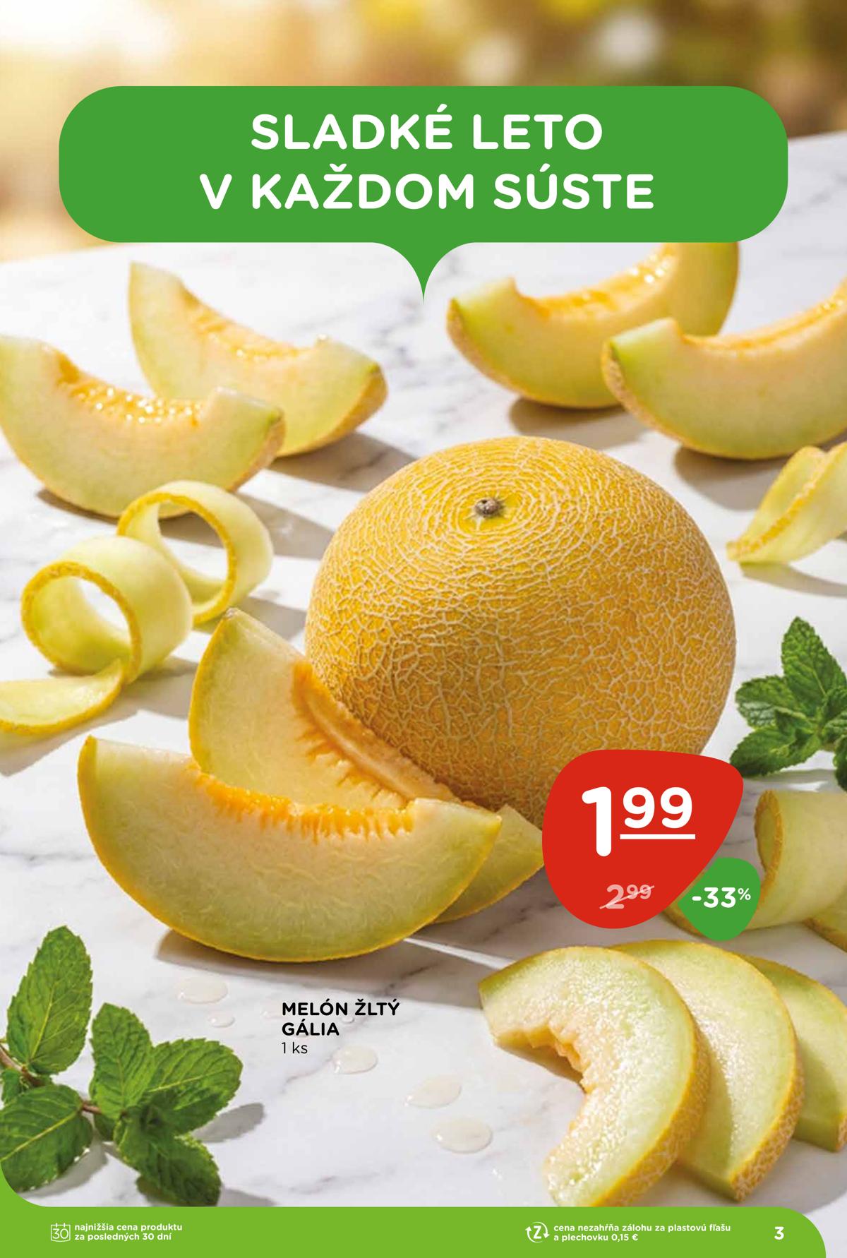 Terno leaflet 003