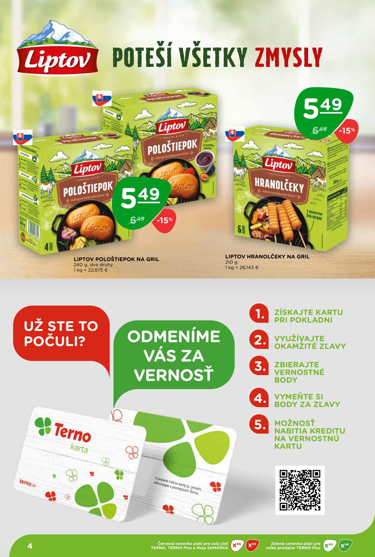 Terno leaflet 004