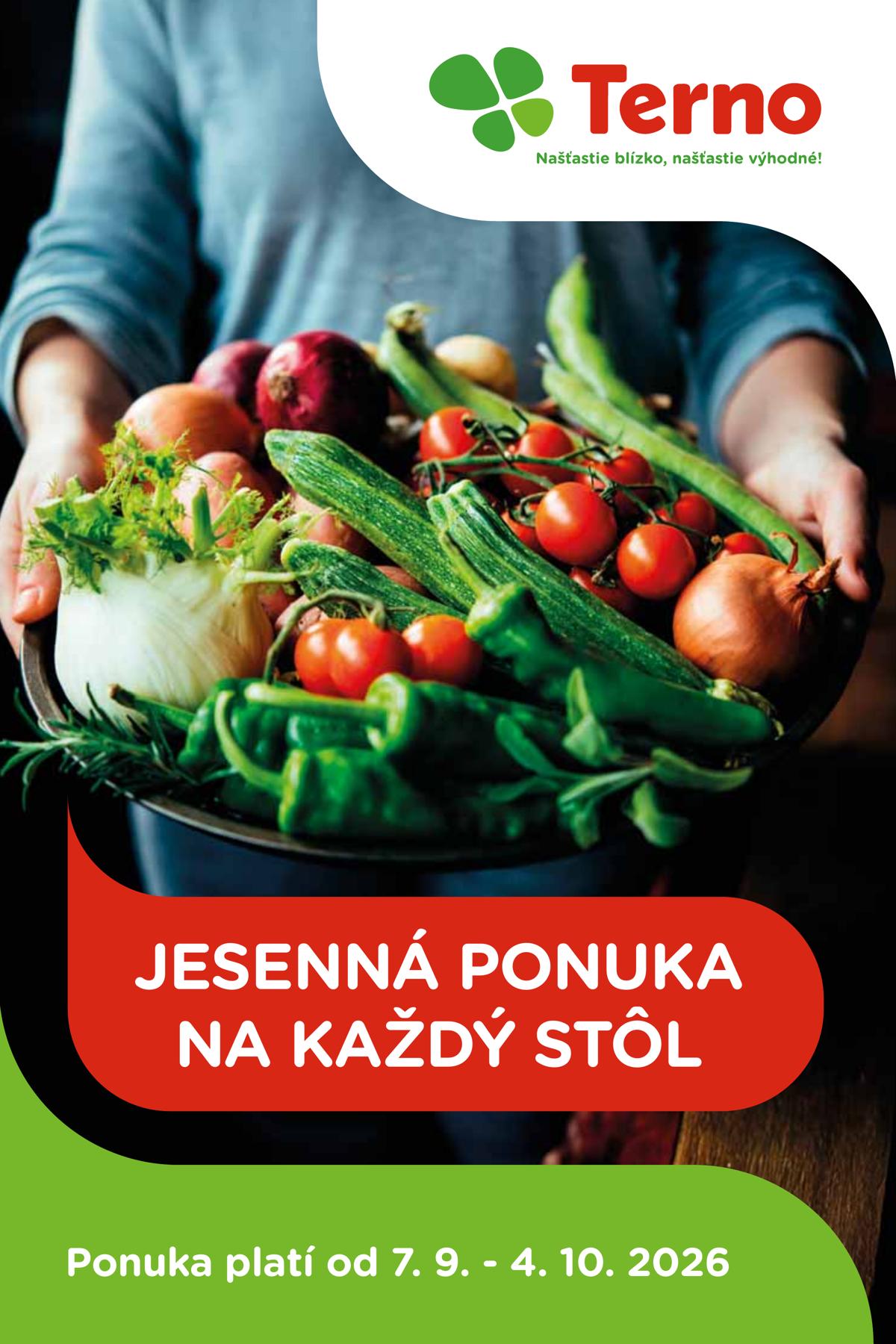 Terno leaflet 001