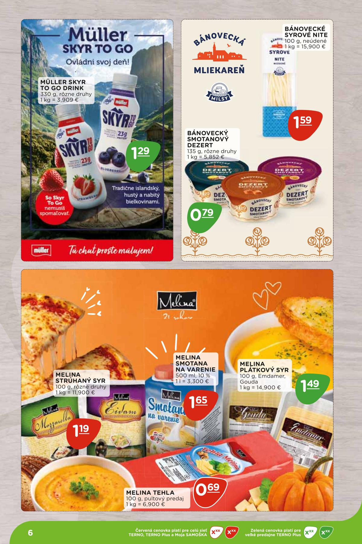 Terno leaflet 006