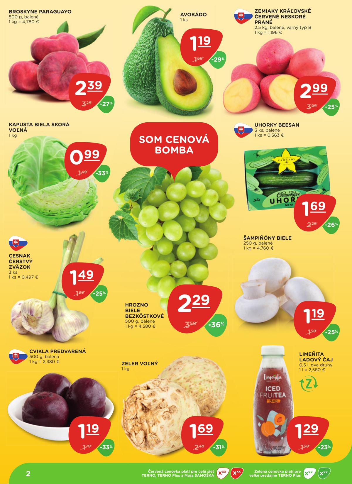 Terno leaflet 003