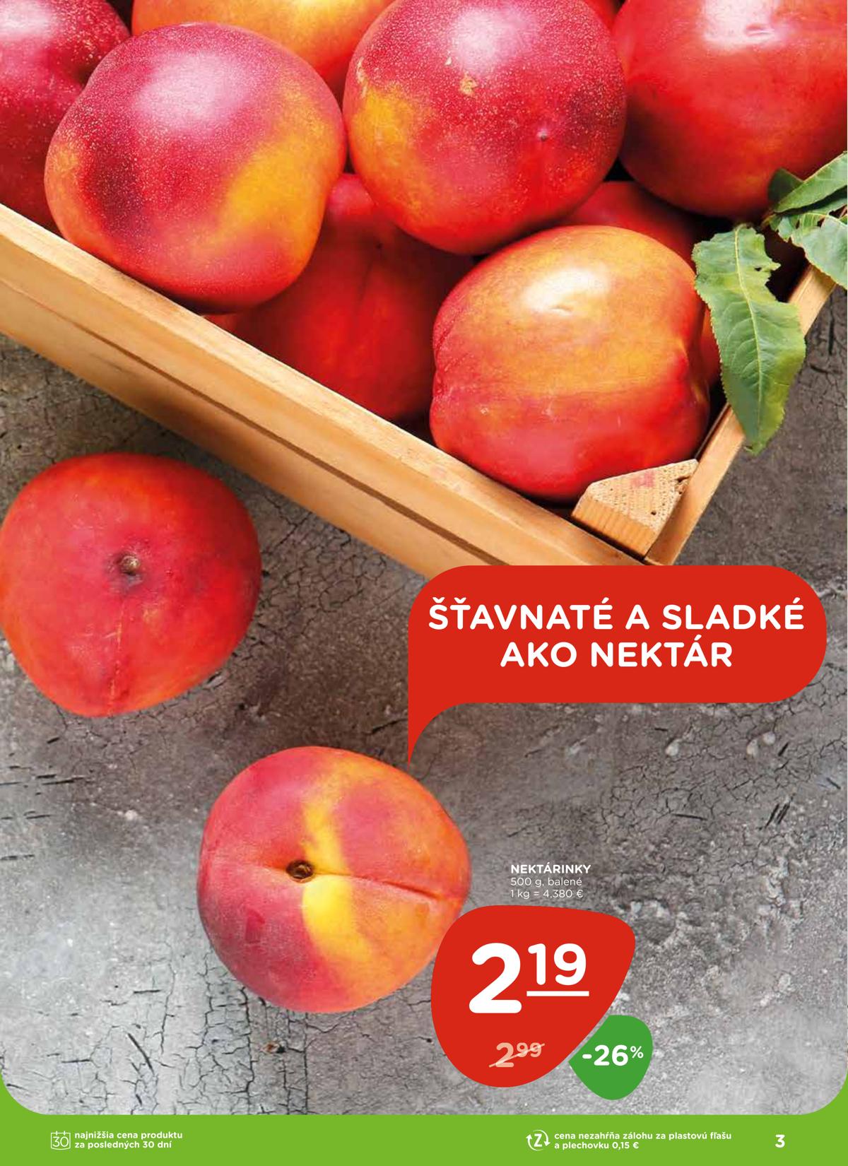 Terno leaflet 004