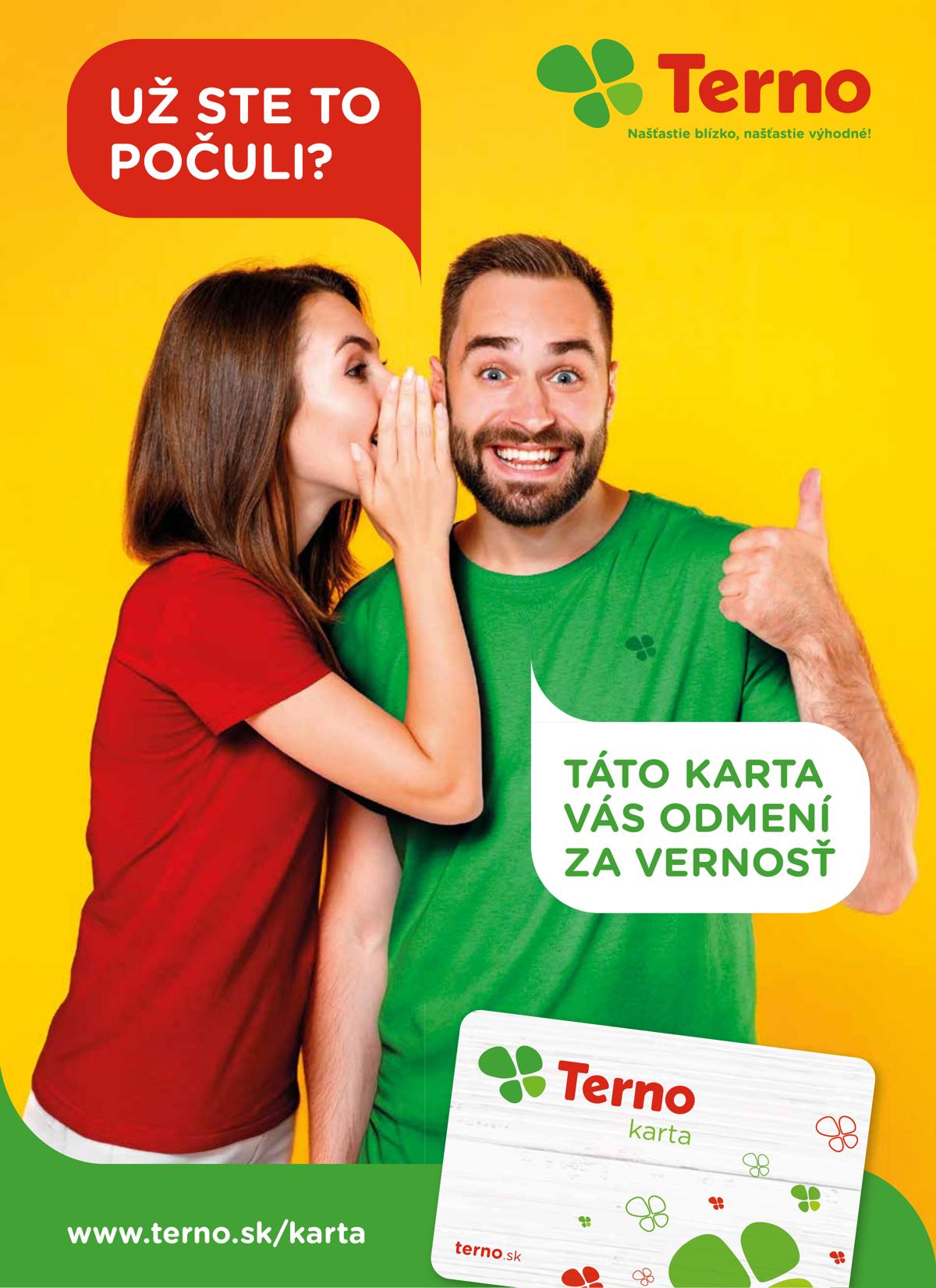 Terno leaflet 020