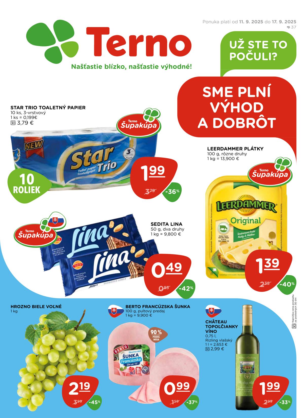 Terno leaflet 002