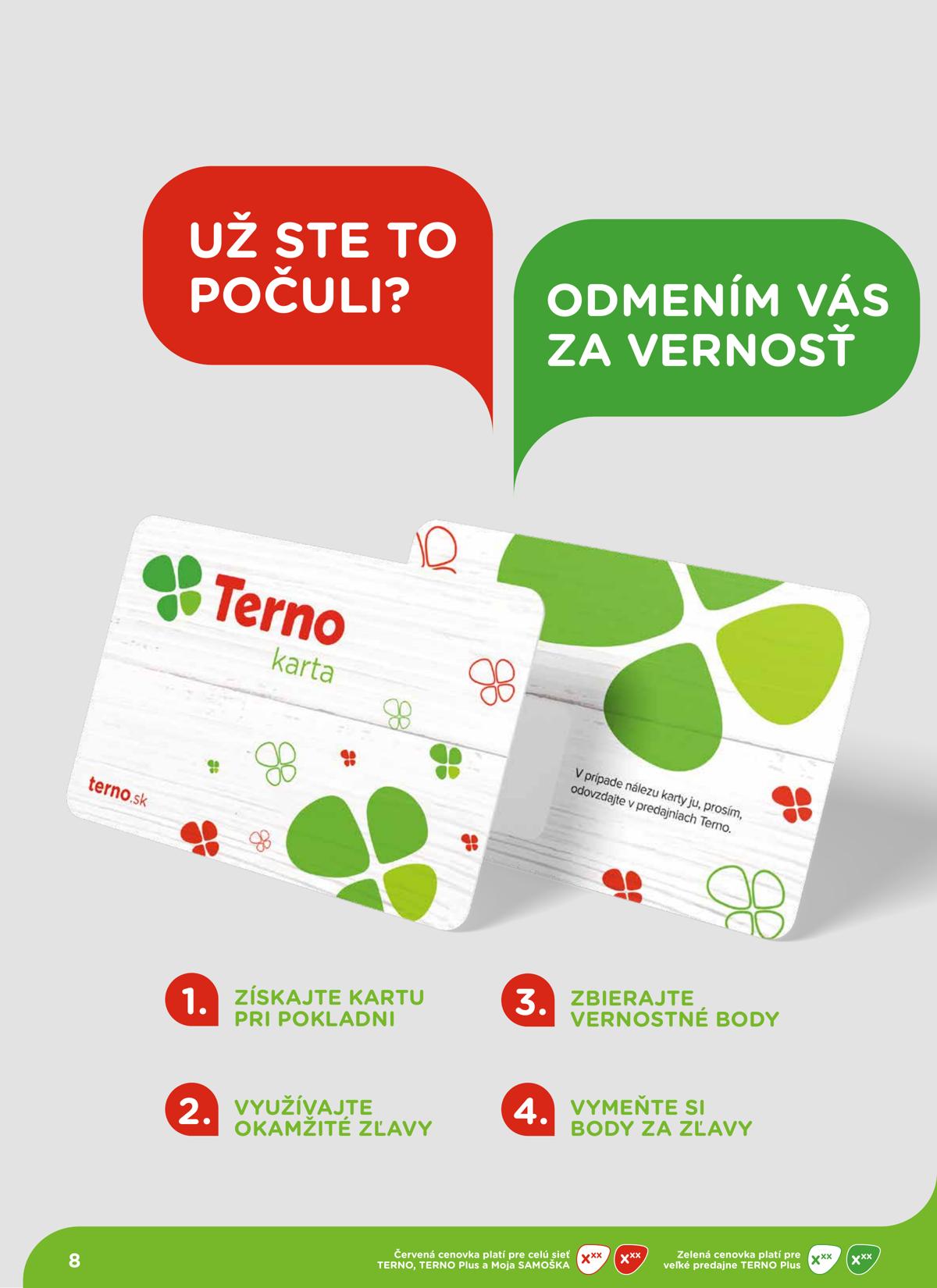 Terno leaflet 009