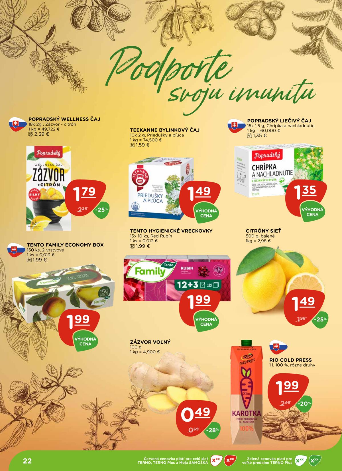 Terno leaflet 023