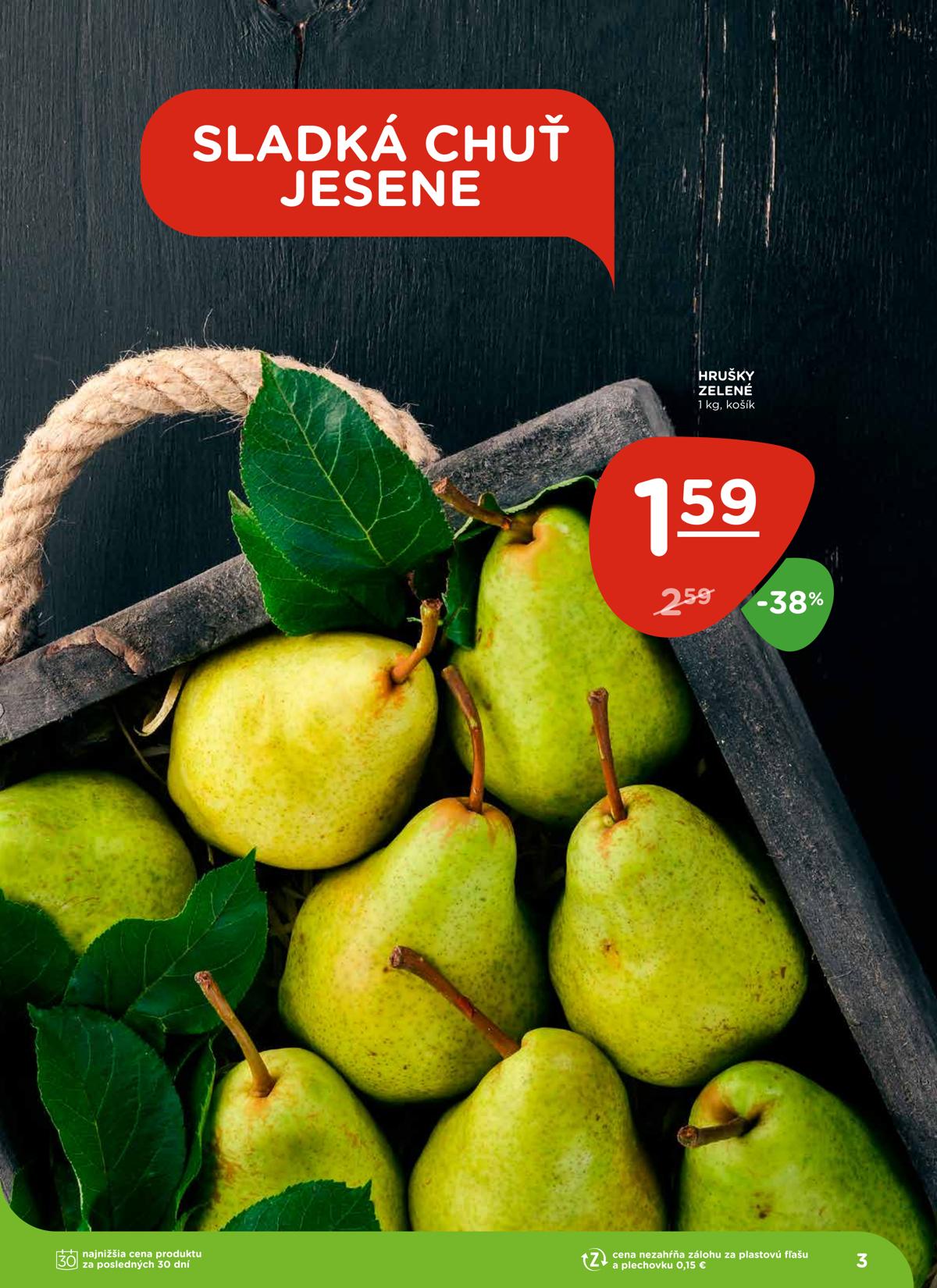 Terno leaflet 004