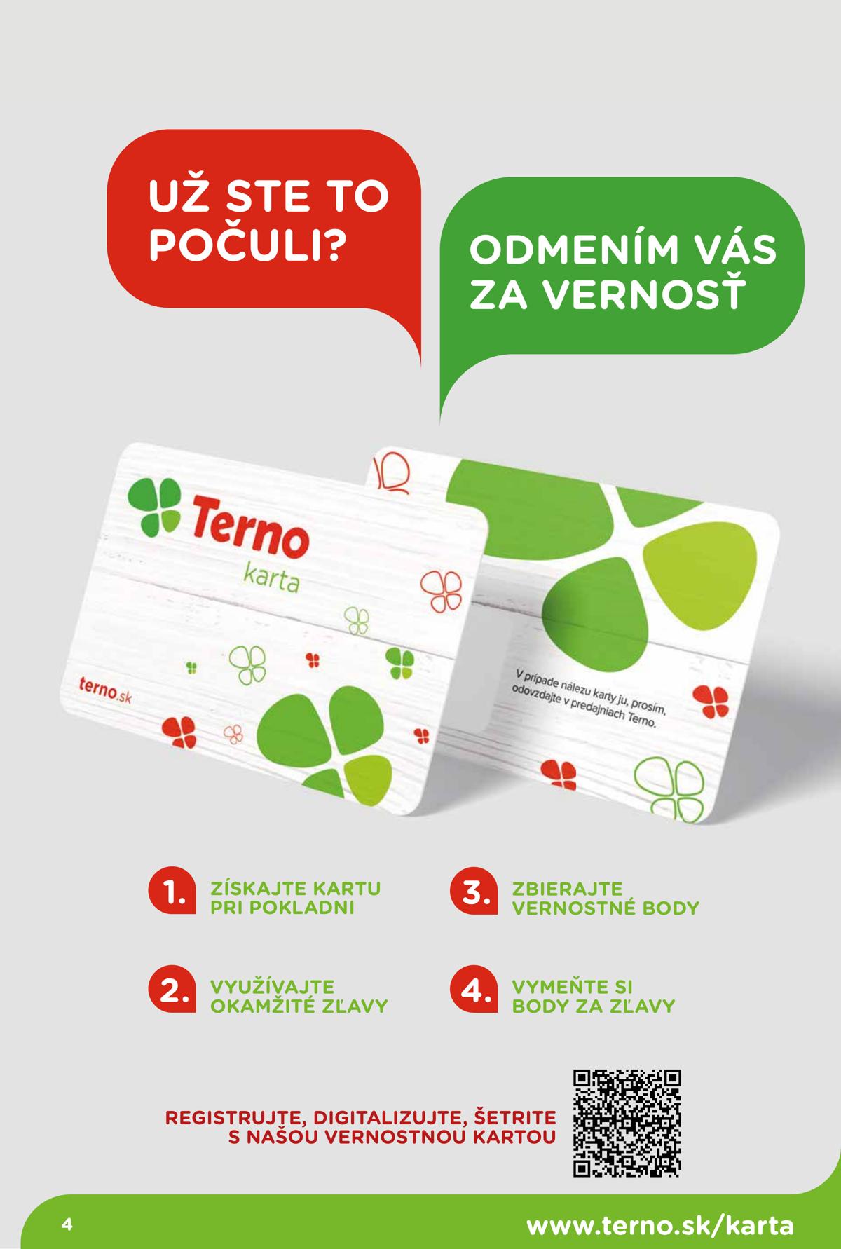 Terno leaflet 005